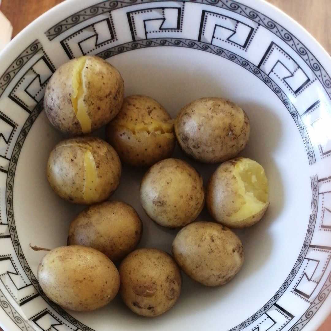 Ziemniaki (Skórka, z Solą, Gotowane)