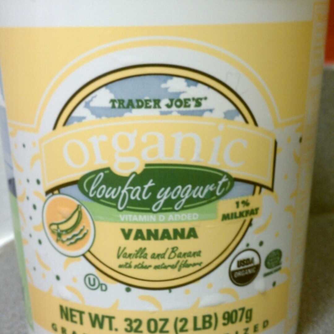 Trader Joe's Organic Lowfat Vanana Yogurt