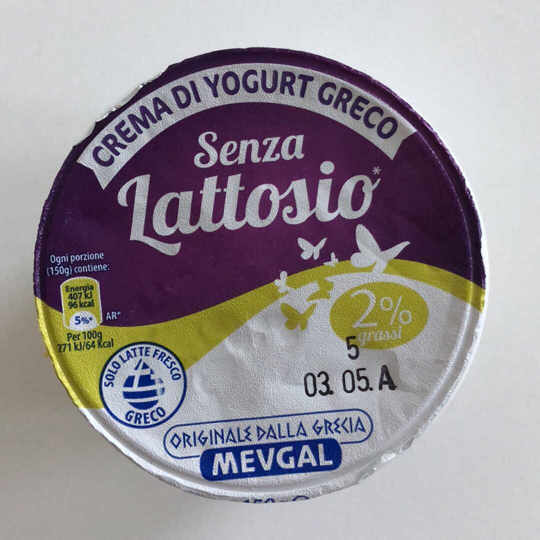 Mevgal Crema di Yogurt Greco senza Lattosio