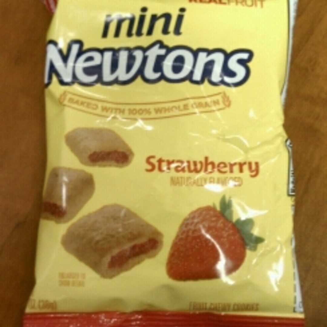 Nabisco Strawberry Newtons Minis Cookies