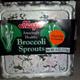 Marjon Broccoli Sprouts