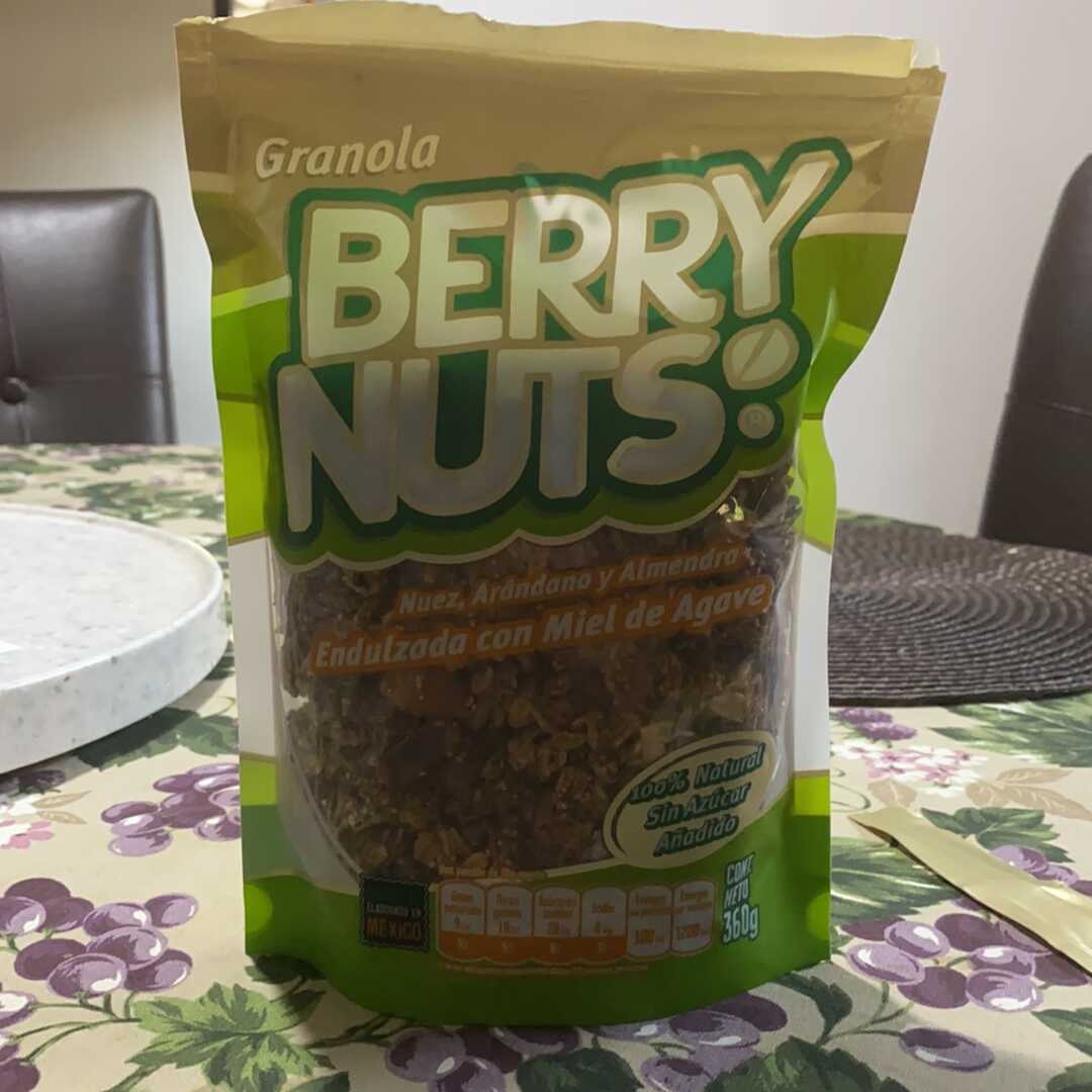 Berry Nuts Granola