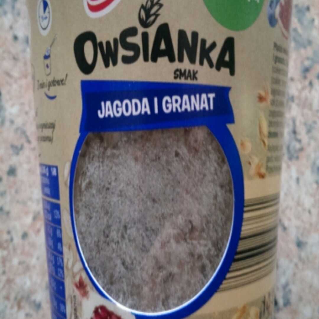 Goody Owsianka Jagoda i Granat