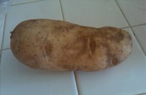 Potatoes (Flesh and Skin, Without Salt, Microwaved)
