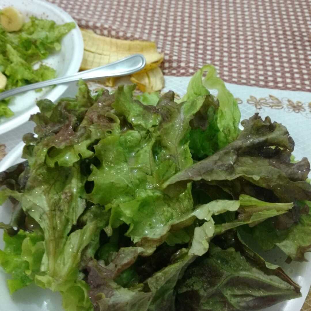 Salada de Folhas