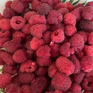 Raspberries