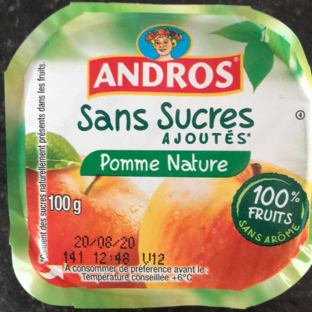 Andros Compote Pomme Nature sans Sucre Ajouté