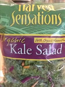 Harvest Sensations Organic Kale Salad with Dressing