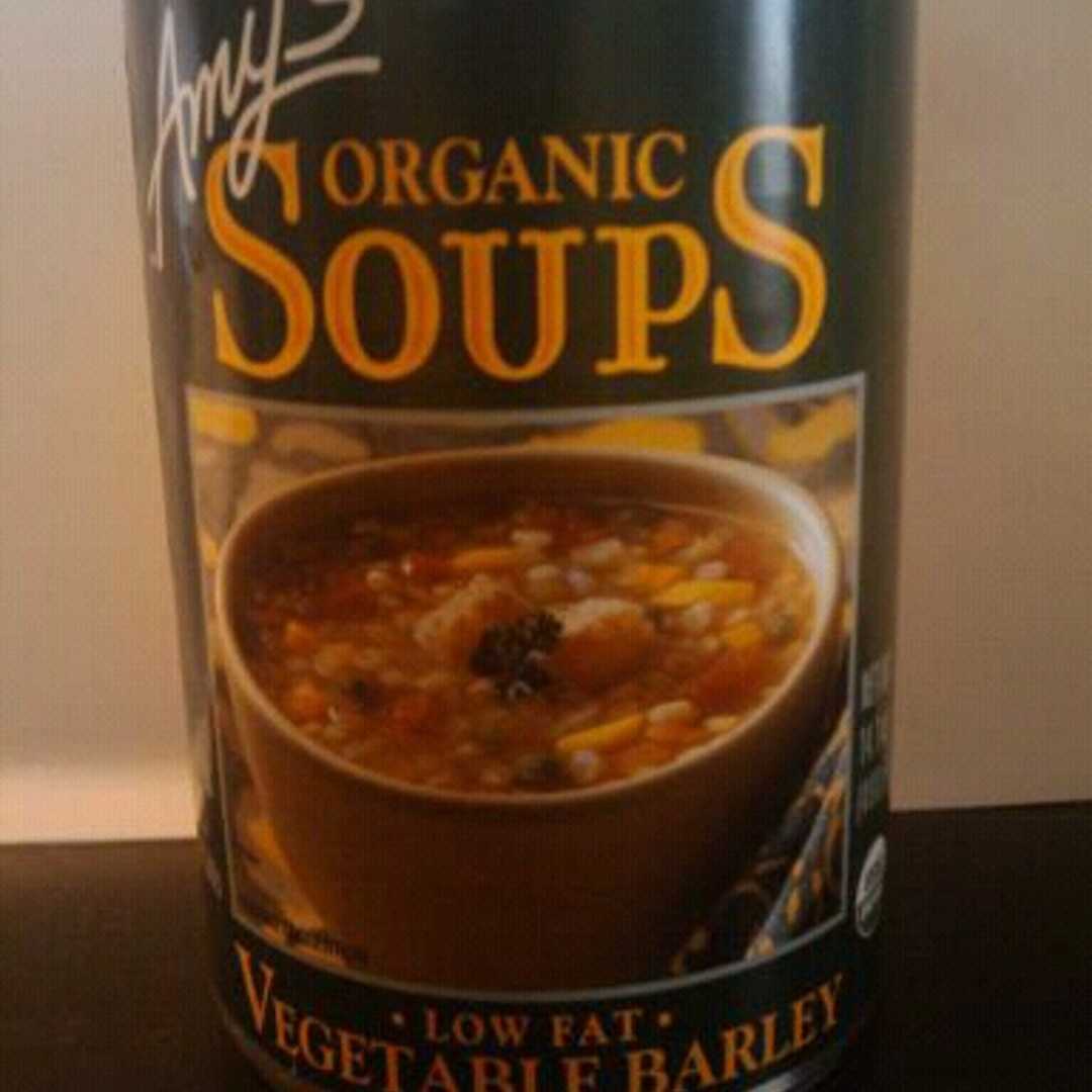 Amy's Organic Low Fat Vegetable Barley Soup