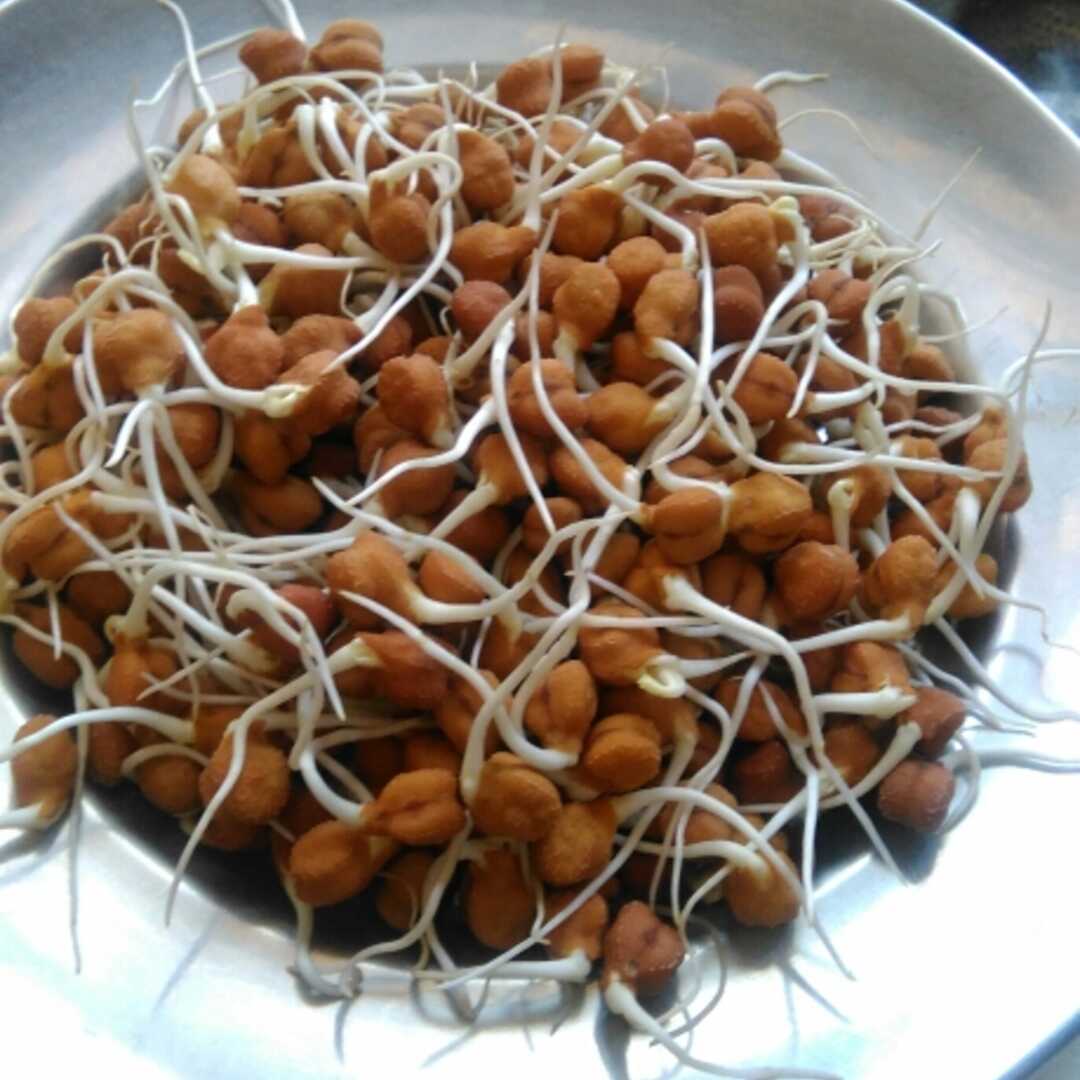 Lentils (Sprouted)