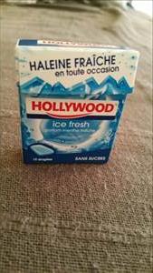 Hollywood Chewing Gum sans Sucre