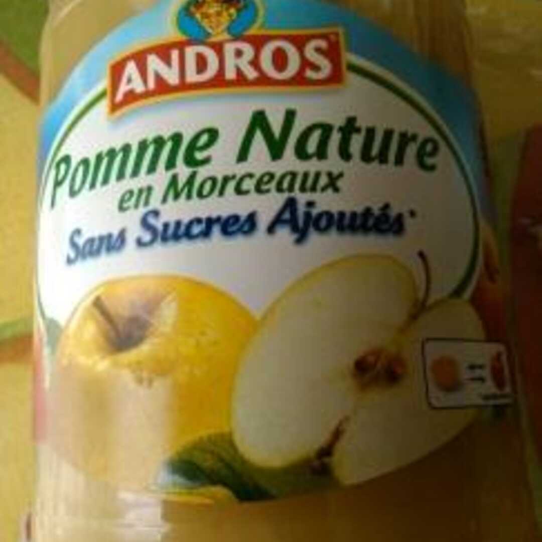 Andros Pomme Nature en Morceaux sans Sucres Ajoutés