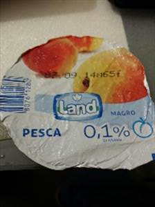 Land Yogurt Magro Pesca