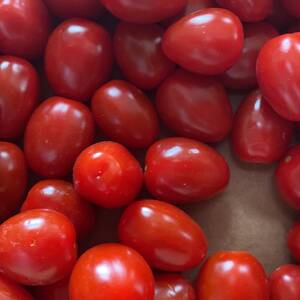 Tomates Cerises
