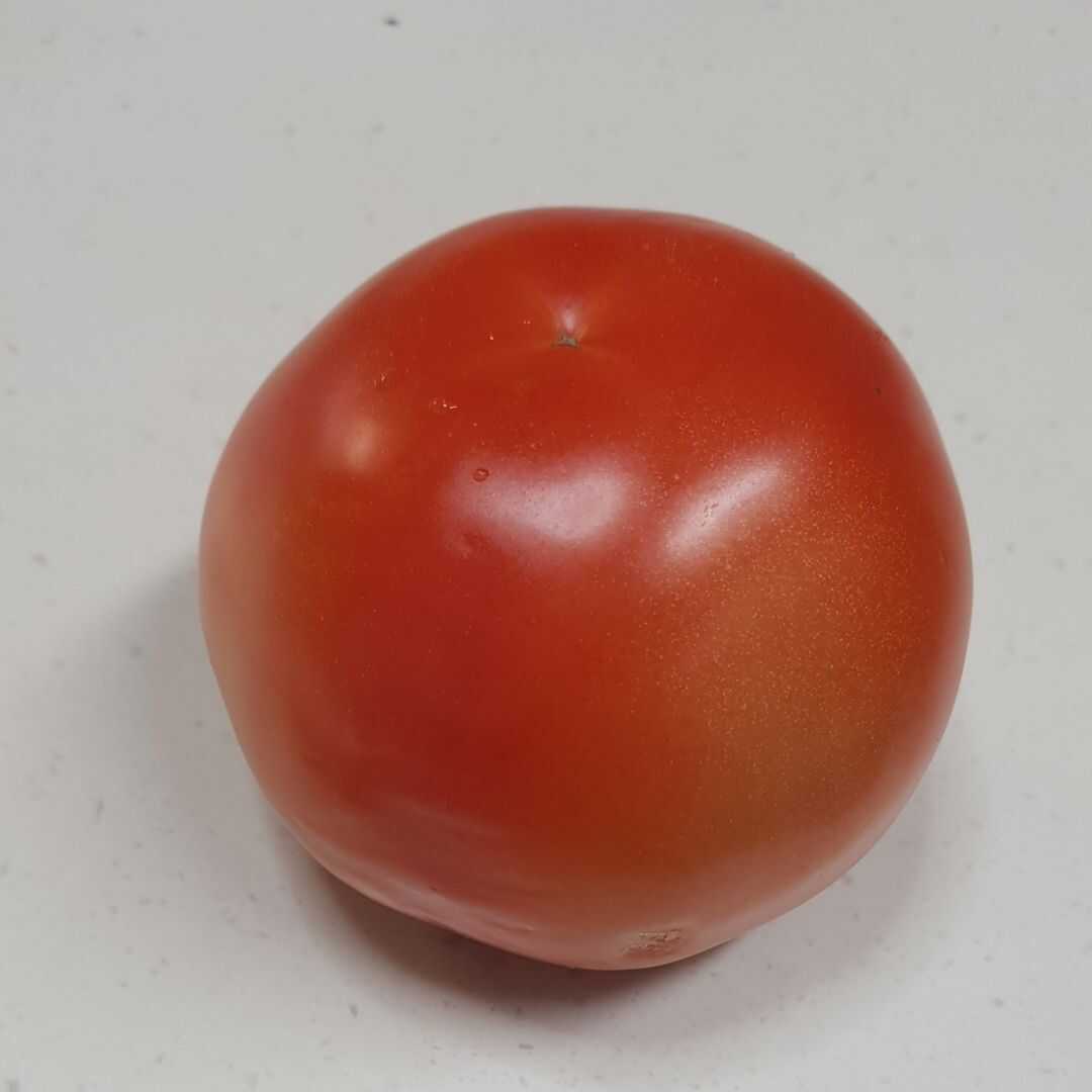 빨간 토마토