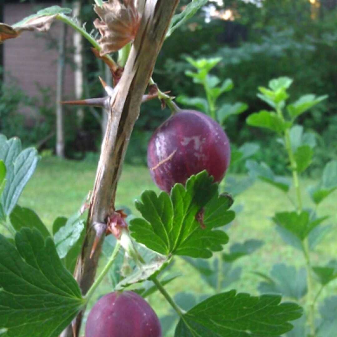 Gooseberries