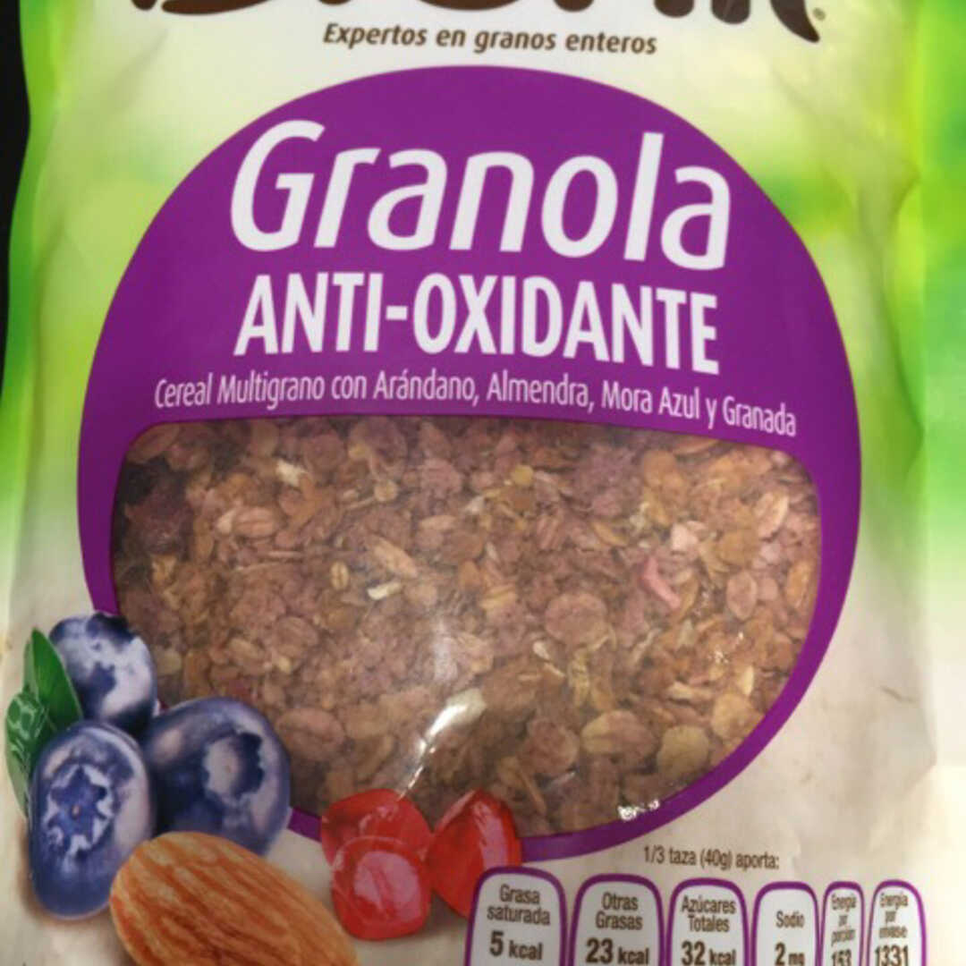 Branli Granola Anti-Oxidante