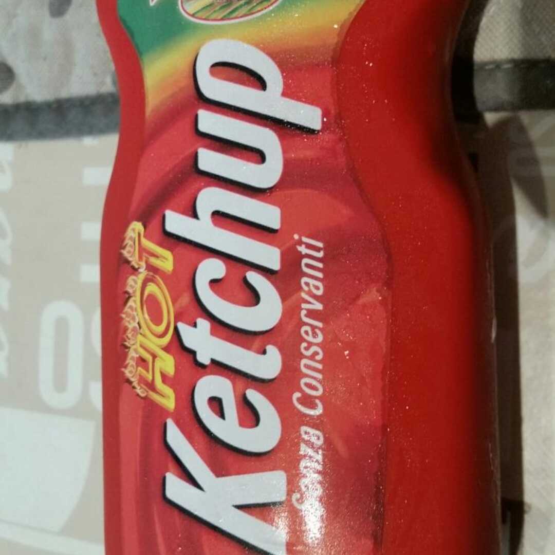 Delizie del Sole Ketchup Hot