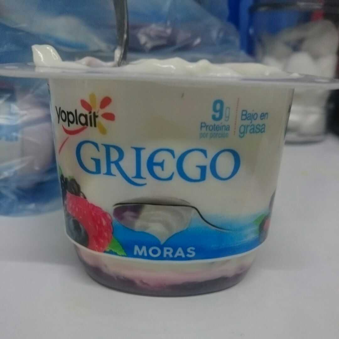 Yoplait Yoghurt Griego con Selección de Moras