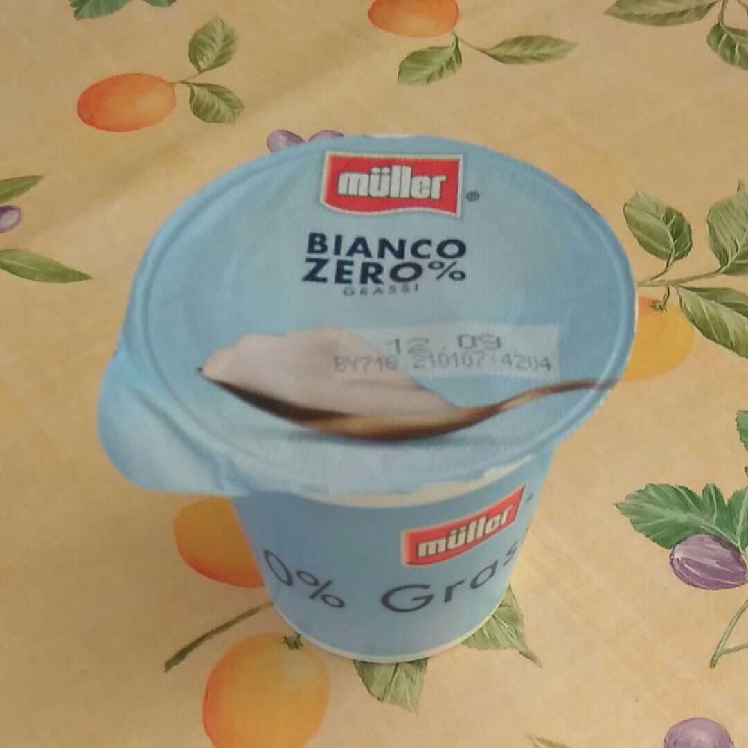 Müller Yogurt Bianco, Zero% Grassi, 500g : : Alimentari e