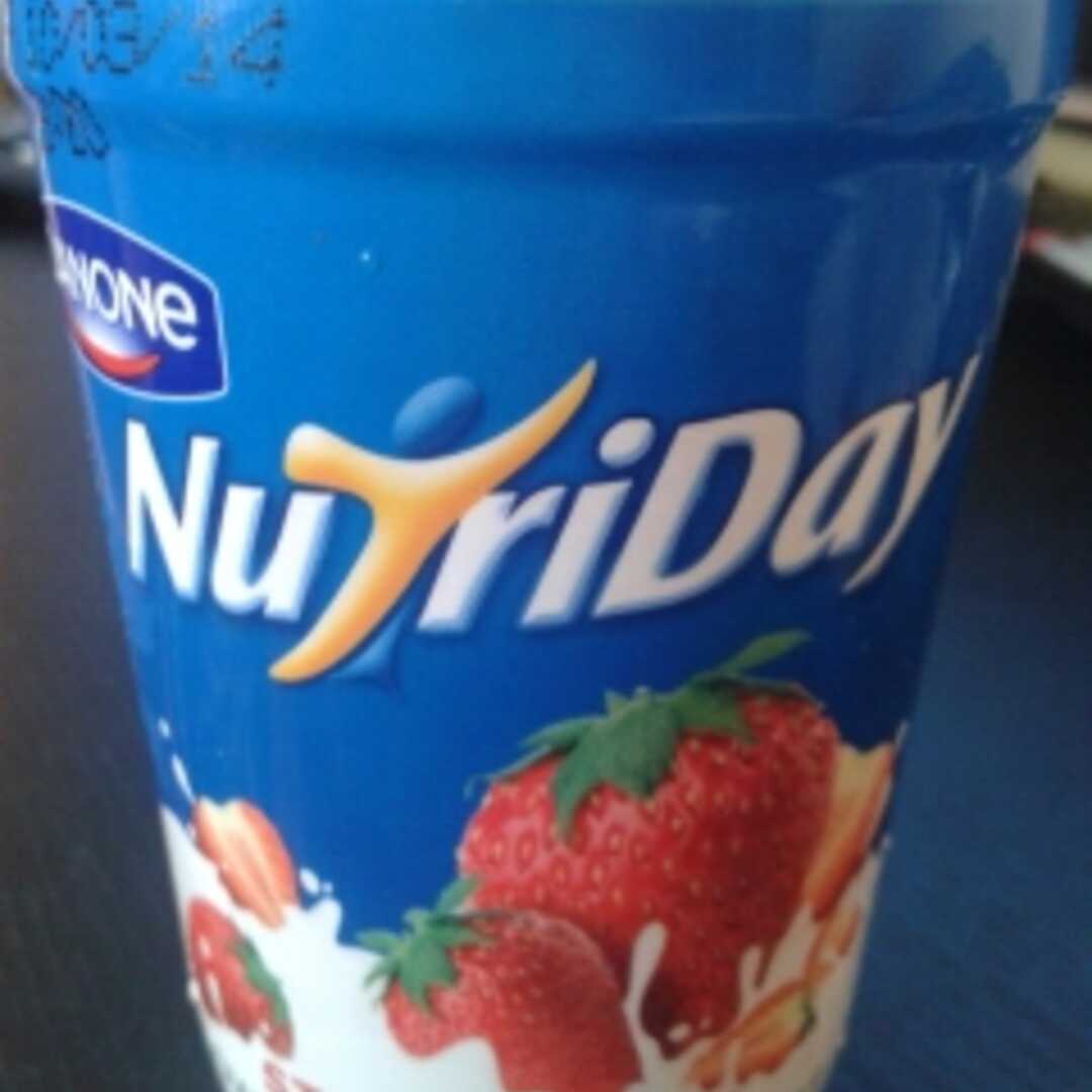 Nutriday Fruity Yoghurt