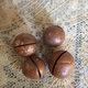 Орехи Макадамии