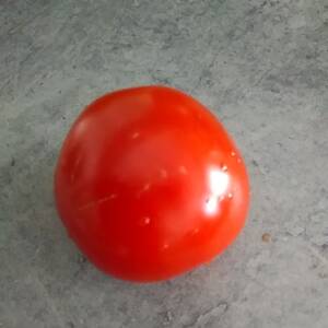 Tomaatit (Punaiset)