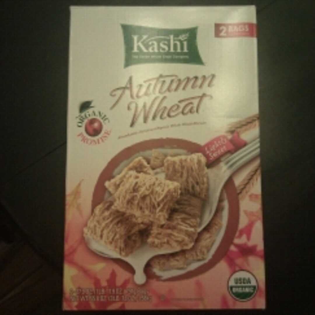 Kashi Organic Promise Cereal - Autumn Wheat