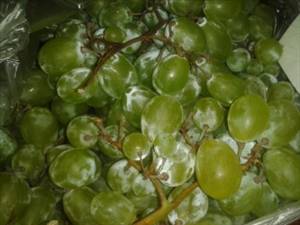 Raisins (Rouges ou Verts, Variétés de Type Européen tels que Thompson sans Pépins)