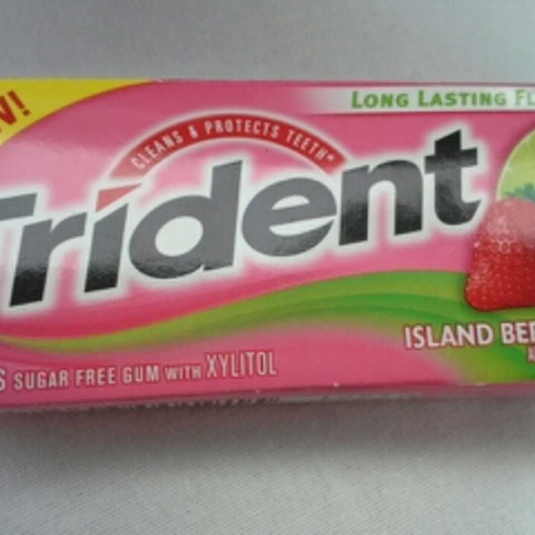 Trident Island Berry Lime Gum