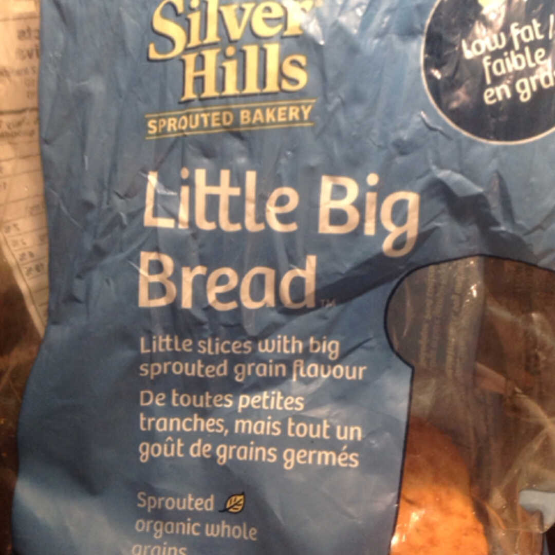 Silver Hills Little Big Bread