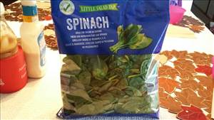 Little Salad Bar Flat Leaf Spinach