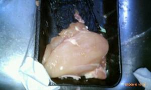 Chicken Breast