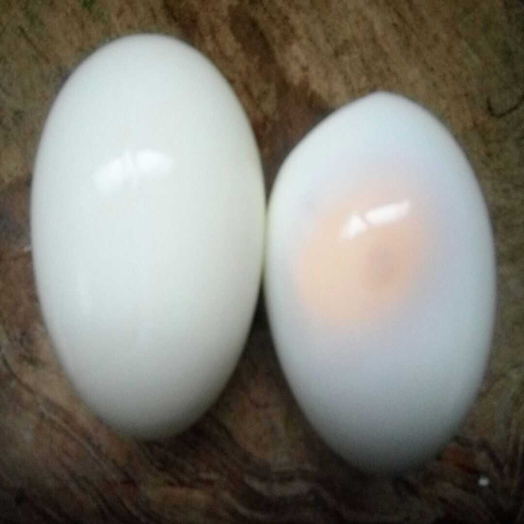 鸡蛋（整个）