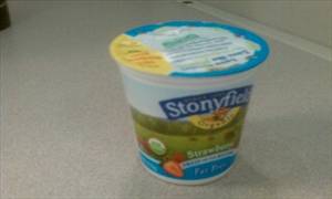 Stonyfield Farm Fat Free Raspberry Yogurt
