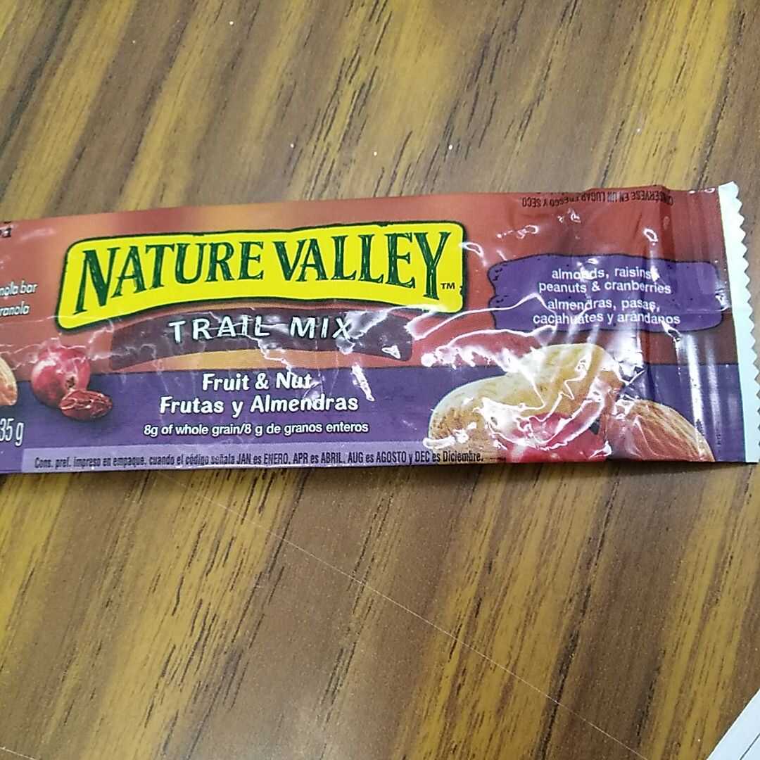 Nature Valley Protein Chewy Bar Peanut Butter Dark Chocolate