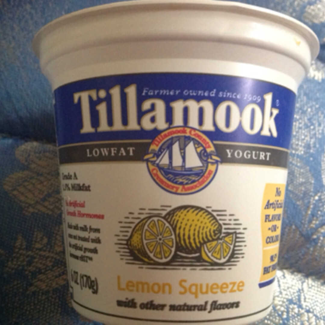 Tillamook Lowfat Lemon Squeeze Yogurt