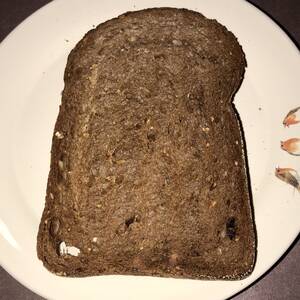 Geroosterd Volkoren Brood