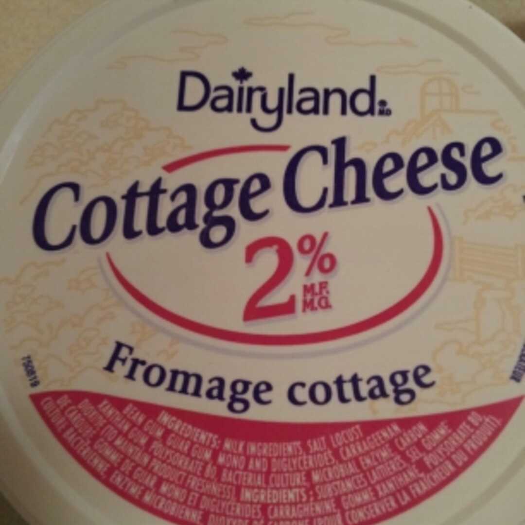 Dairyland 2% Cottage Cheese