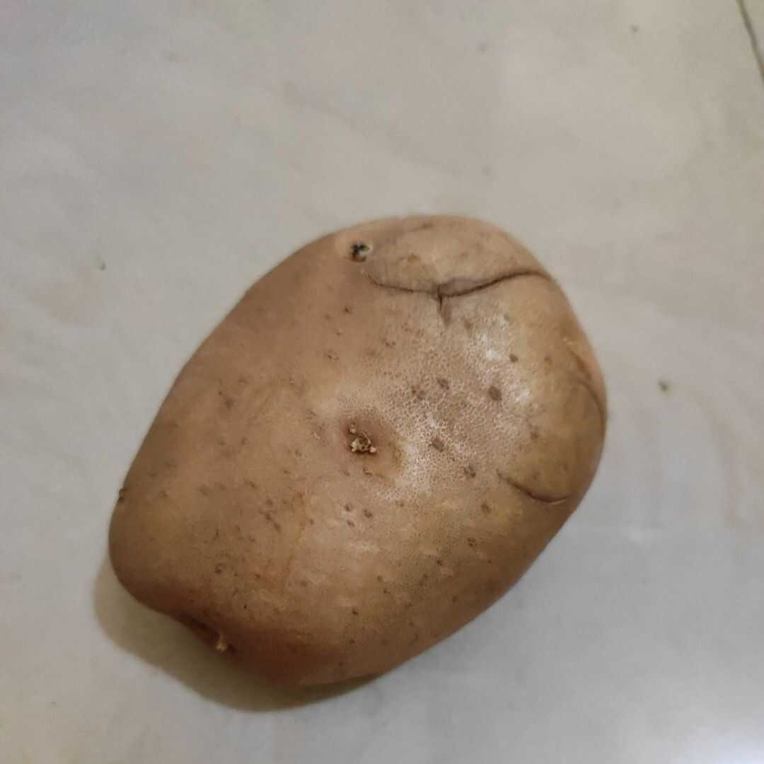 Potato (with Salt)