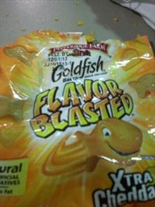 Pepperidge Farm Goldfish Flavor Blasted Xtra Cheddar Baked Snack Crackers (Pouch)