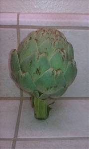 Cooked Artichoke (from Fresh)