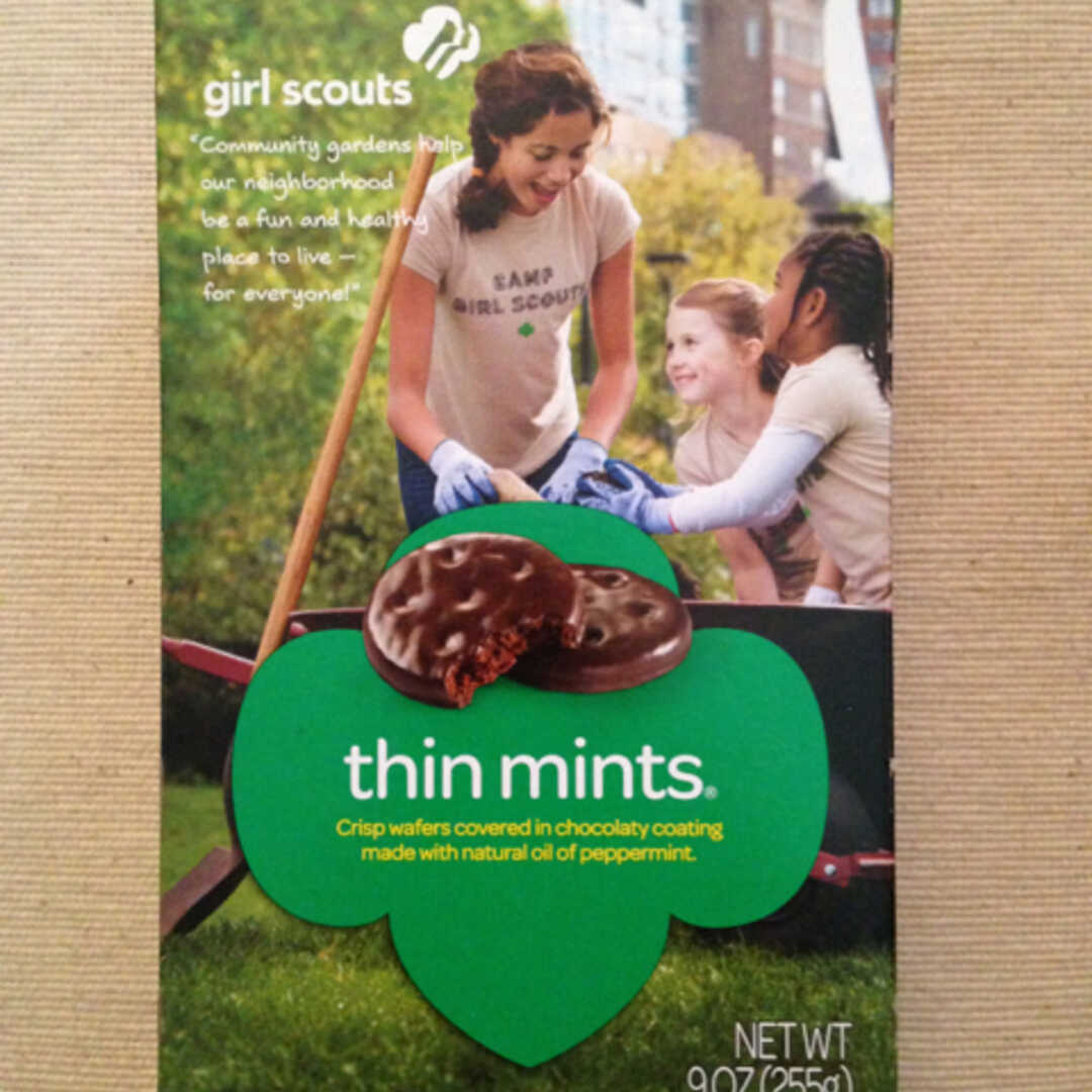 Girl Scout Cookies Thin Mint Cookies