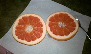 Grapefruit (Pink and Red)