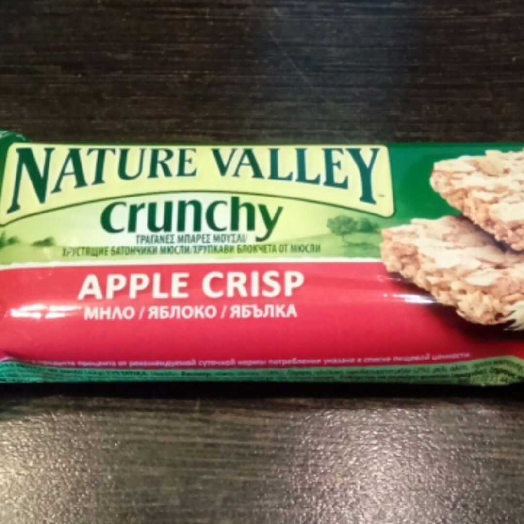 Nature Valley Apple Crisp