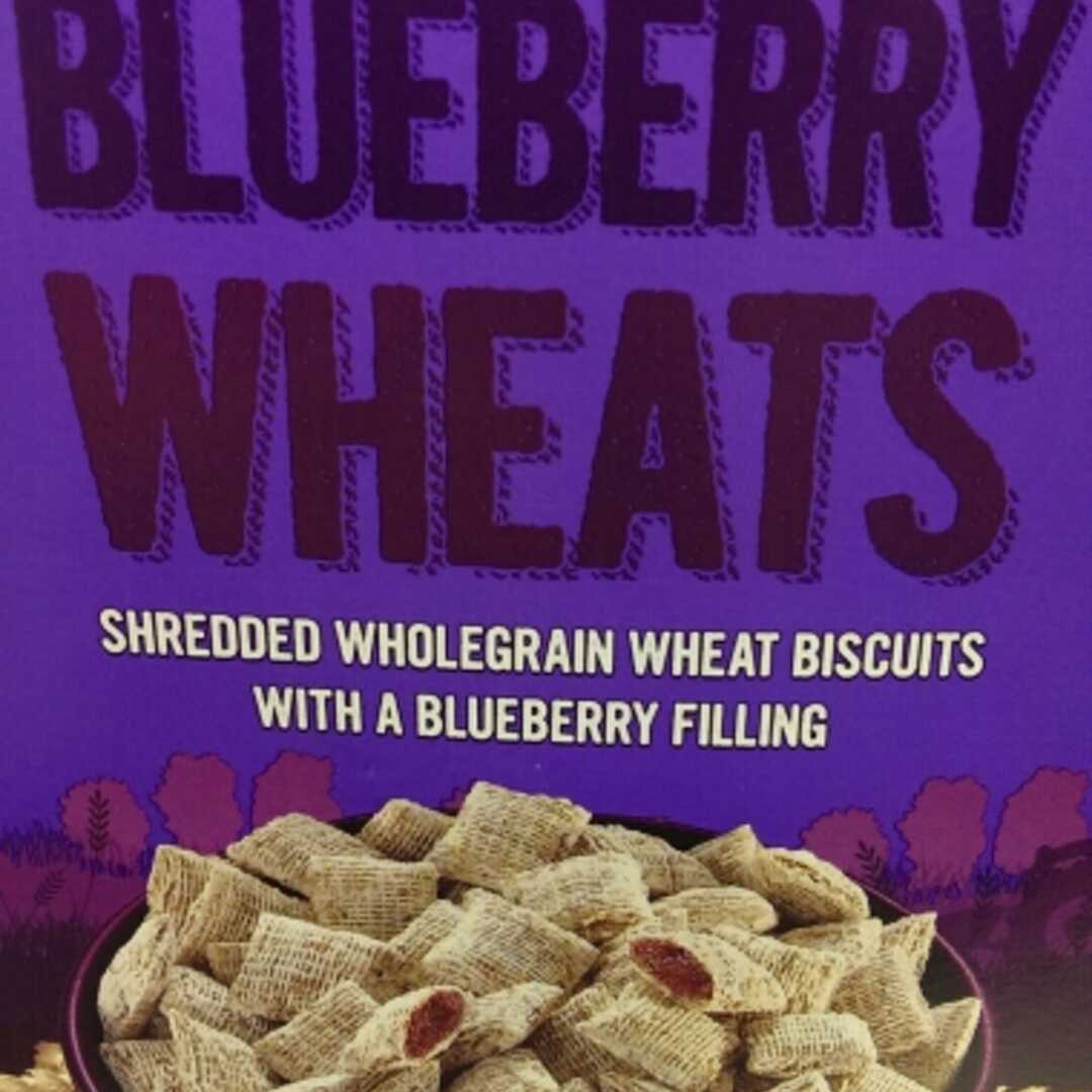 Crownfield Blueberry Wheats