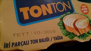 Tonton Ton Balığı