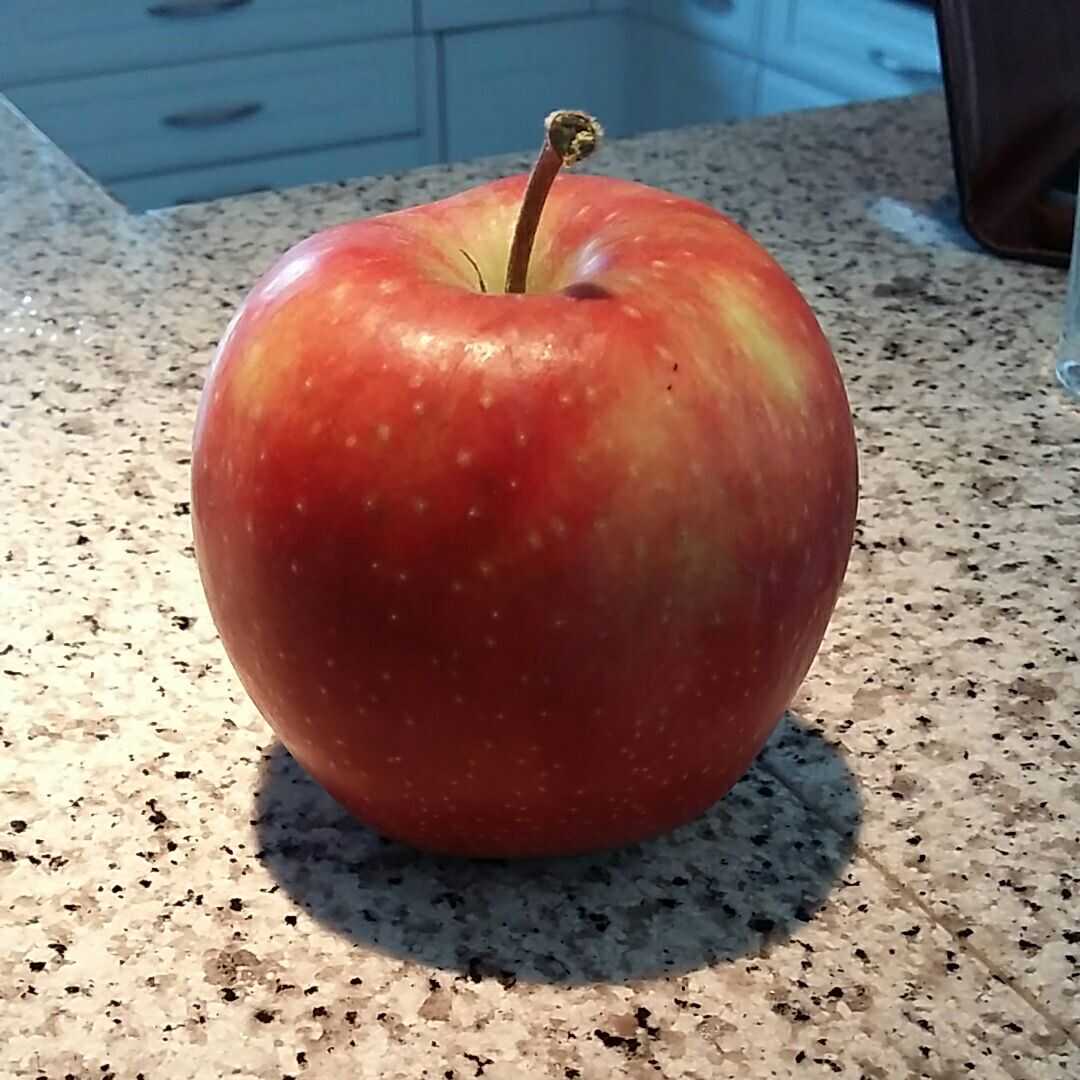 Äpfel