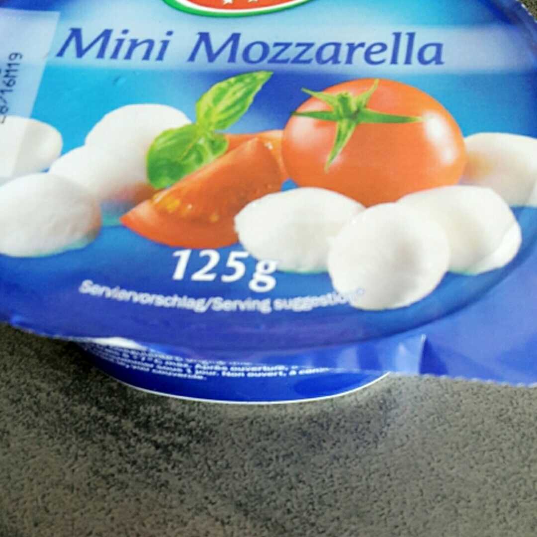 Lovilio Mini Mozzarella