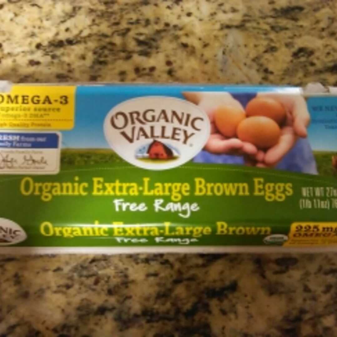 Organic Valley Omega-3 Extra Large Brown Eggs
